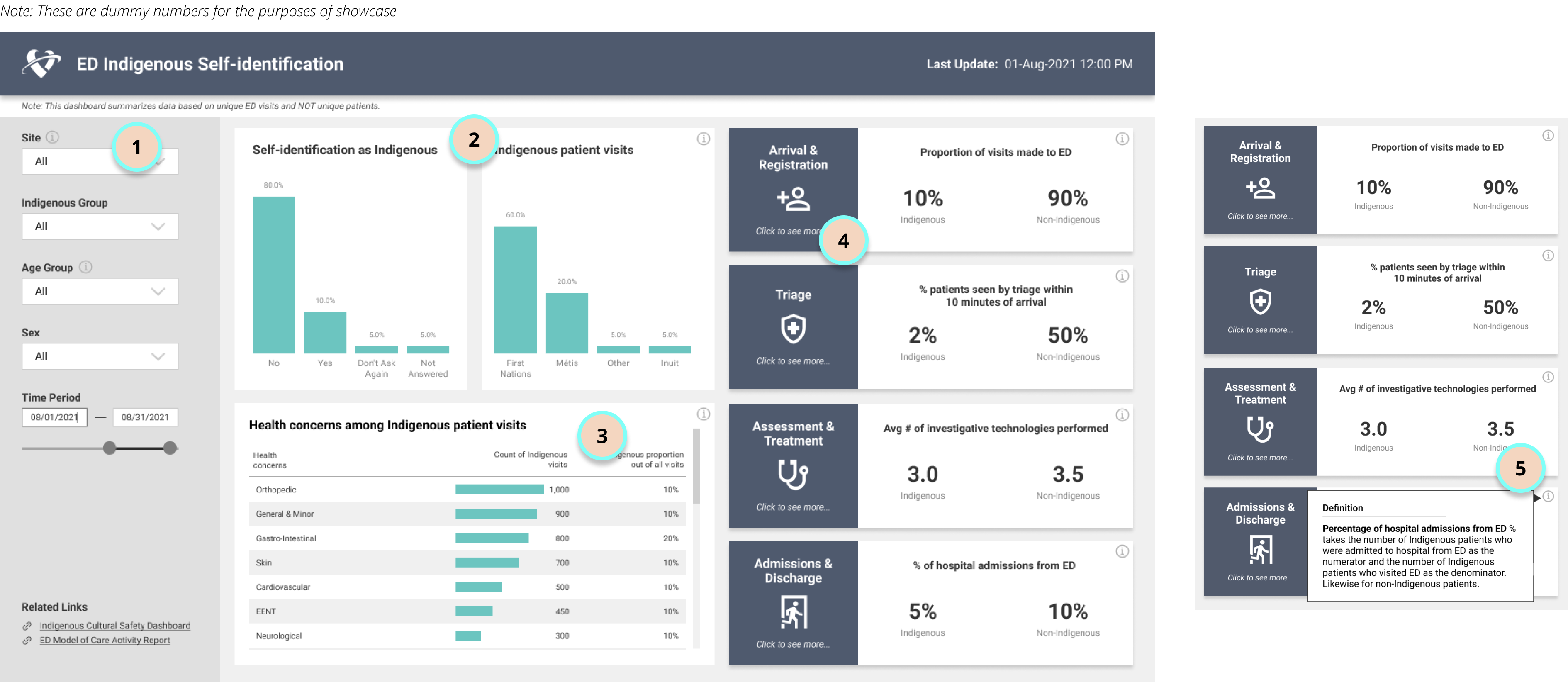 The full Indigenous Cultural Safety dashboard summary page